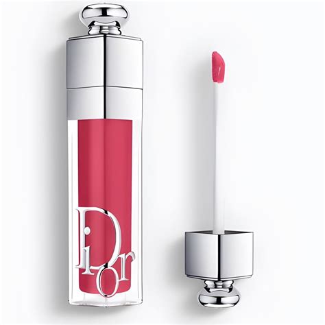 dior addict maximizer 029|dior addict lip maximizer 010.